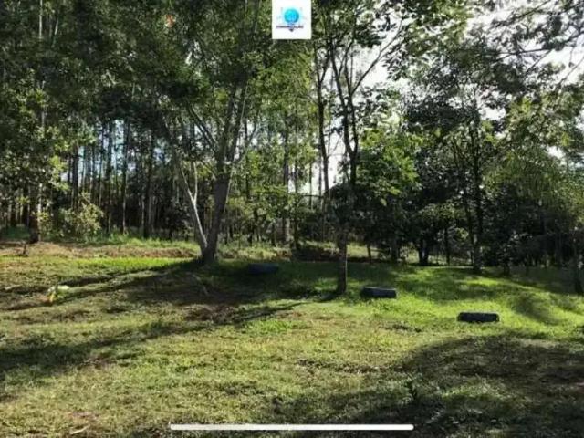 Sítio e chácara venda em Região Geográfica Imediata de Goiânia, Bela Vista de Goiás