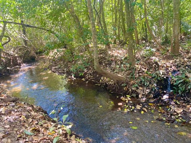 Sítio e chácara venda em Região Geográfica Imediata de Goiânia, Bela Vista de Goiás