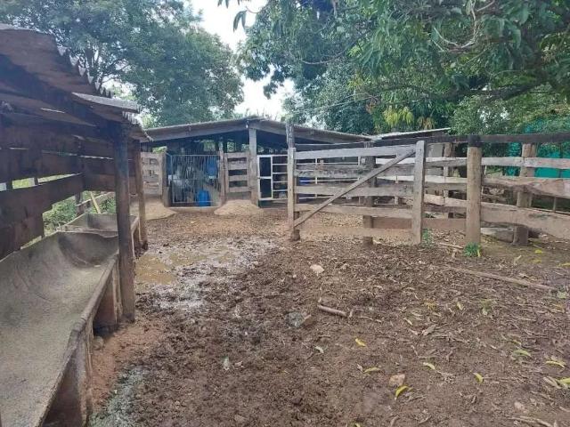 Sítio e chácara venda em Região Geográfica Imediata de Goiânia, Bela Vista de Goiás