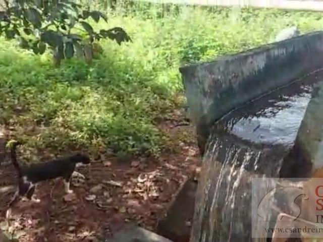 Sítio e chácara venda em Região Geográfica Imediata de Goiânia, Bela Vista de Goiás