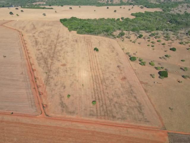 Sítio e chácara venda em Região Geográfica Imediata de Goiânia, Bela Vista de Goiás
