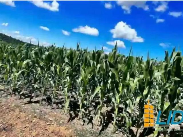 Sítio e chácara venda em Região Geográfica Imediata de Goiânia, Bela Vista de Goiás