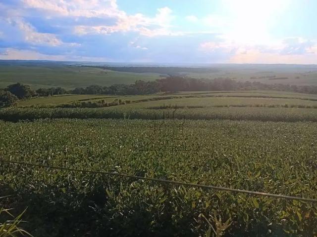 Sítio e chácara venda em Região Geográfica Imediata de Londrina, Bela Vista do Paraíso