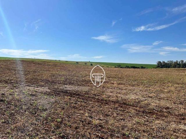 Sítio e chácara venda em Centro, Bela Vista do Paraíso