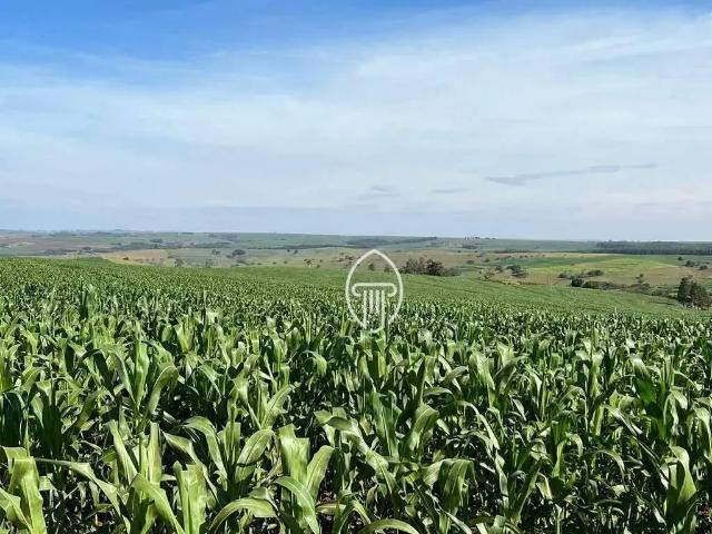 Sítio e chácara venda em Bela Vista do Paraíso, Paraná