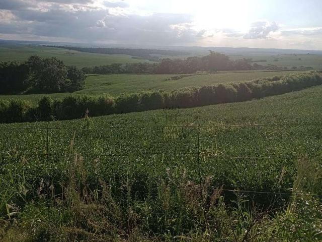 Sítio e chácara venda em Bela Vista do Paraíso, Paraná