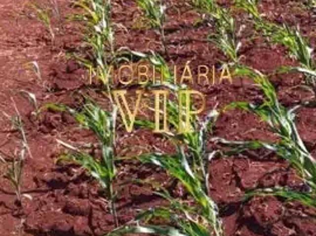 Sítio e chácara venda em Região Geográfica Imediata de Londrina, Bela Vista do Paraíso