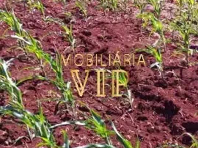 Sítio e chácara venda em Região Geográfica Imediata de Londrina, Bela Vista do Paraíso