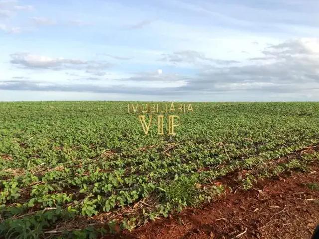 Sítio e chácara venda em Região Geográfica Imediata de Londrina, Bela Vista do Paraíso