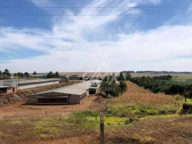 Sítio e chácara venda em Região Geográfica Imediata de Londrina, Bela Vista do Paraíso