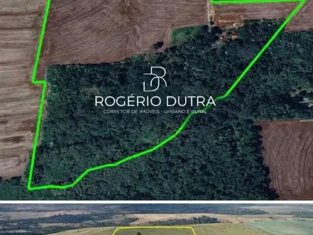 Sítio e chácara venda em Região Geográfica Imediata de Londrina, Bela Vista do Paraíso