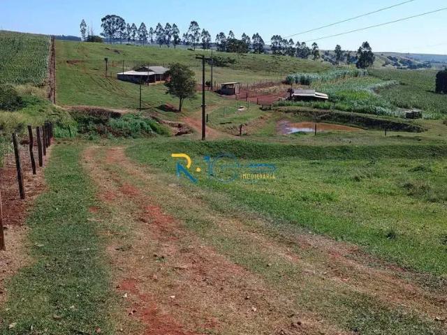 Sítio e chácara venda em Região Geográfica Imediata de Londrina, Bela Vista do Paraíso