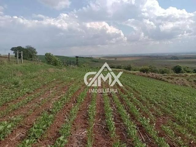 Sítio e chácara venda em Bela Vista do Paraíso, Região Geográfica Intermediária de Londrina