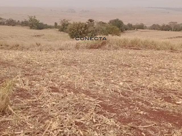 Sítio e chácara venda em Bela Vista do Paraíso, Região Geográfica Intermediária de Londrina