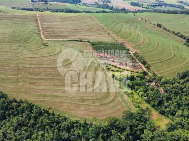 Sítio e chácara venda em Região Geográfica Imediata de Londrina, Bela Vista do Paraíso