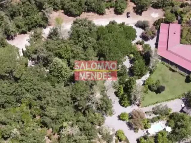 Sítio e chácara venda em Região Geográfica Imediata de Belém, Belém