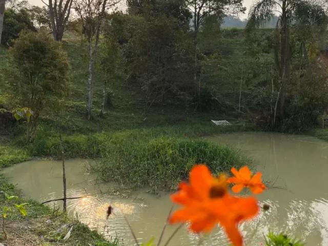 Sítio e chácara venda em Região Geográfica Imediata de Blumenau, Benedito Novo