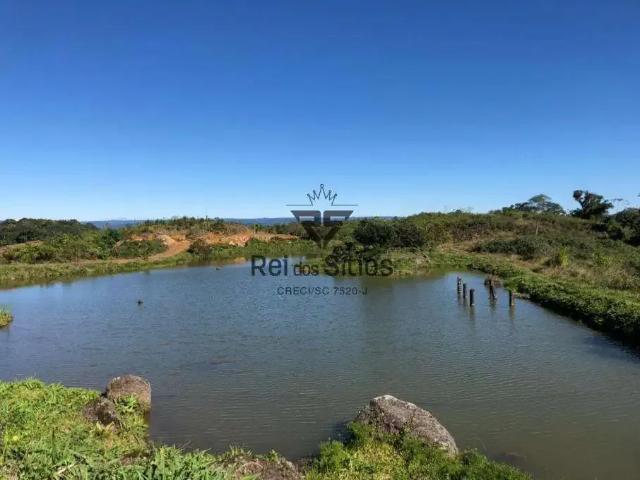 Sítio e chácara venda em Região Geográfica Imediata de Blumenau, Benedito Novo