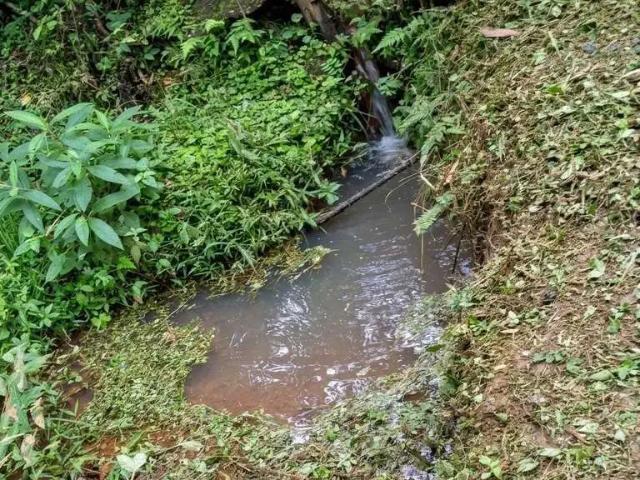 Sítio e chácara venda em Região Geográfica Imediata de Blumenau, Benedito Novo