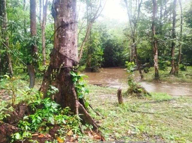 Sítio e chácara venda em Região Geográfica Imediata de Belém, Região Norte