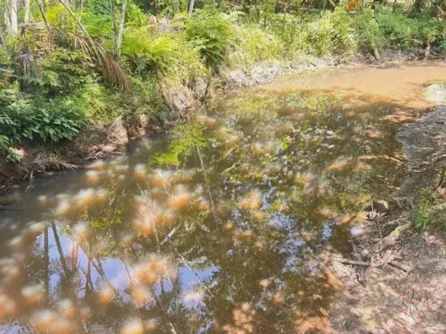 Sítio e chácara venda em Região Geográfica Imediata de Belém, Região Norte