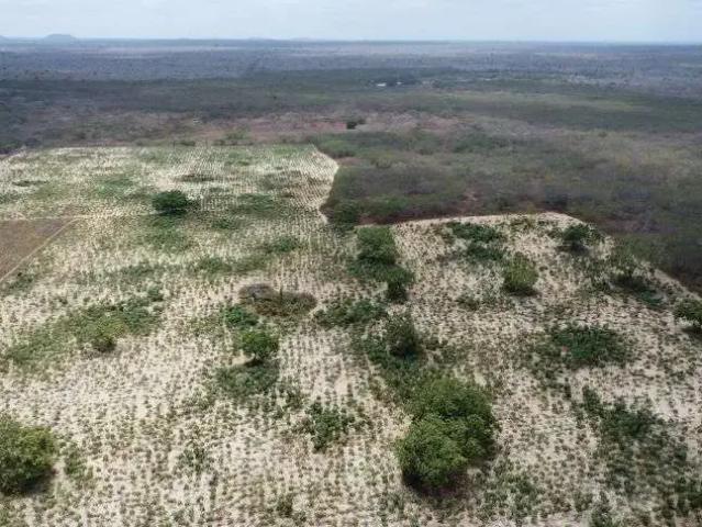 Sítio e chácara venda em Região Geográfica Imediata de Natal, Bento Fernandes