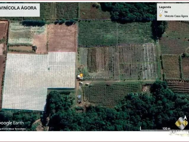 Sítio e chácara venda em Região Geográfica Imediata de Bento Gonçalves, Bento Gonçalves