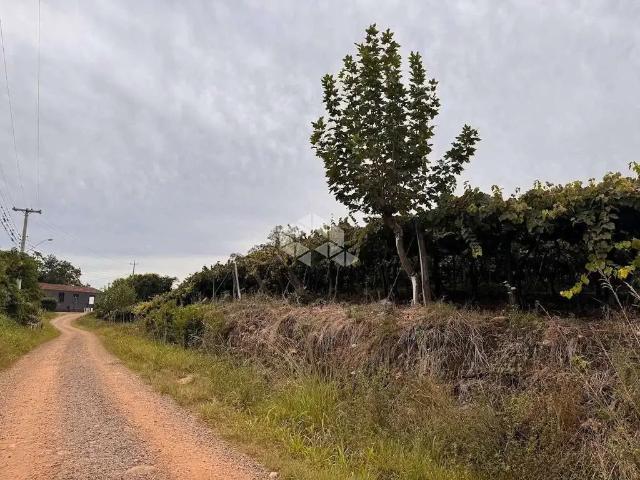 Sítio e chácara venda em Região Geográfica Imediata de Bento Gonçalves, Bento Gonçalves