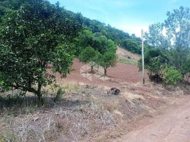 Sítio e chácara venda em Região Geográfica Imediata de Bento Gonçalves, Bento Gonçalves