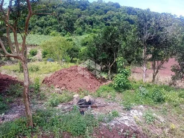Sítio e chácara venda em Região Geográfica Imediata de Bento Gonçalves, Bento Gonçalves