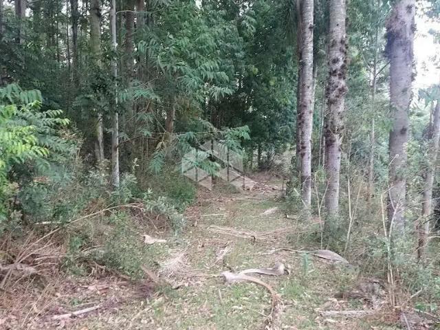 Sítio e chácara venda em Bento Gonçalves