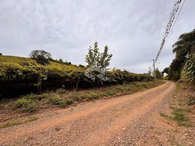 Sítio e chácara venda em Região Geográfica Imediata de Bento Gonçalves, Bento Gonçalves