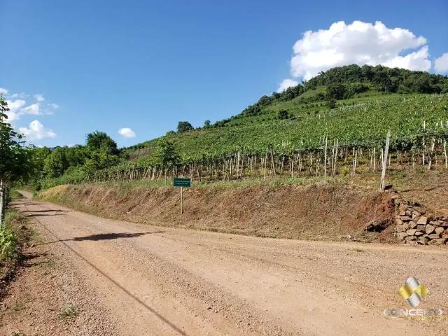Sítio e chácara venda em Região Geográfica Imediata de Bento Gonçalves, Bento Gonçalves