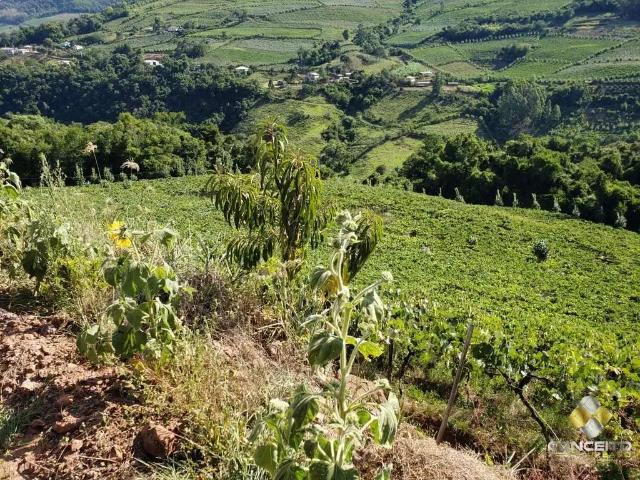 Sítio e chácara venda em Região Geográfica Imediata de Bento Gonçalves, Bento Gonçalves