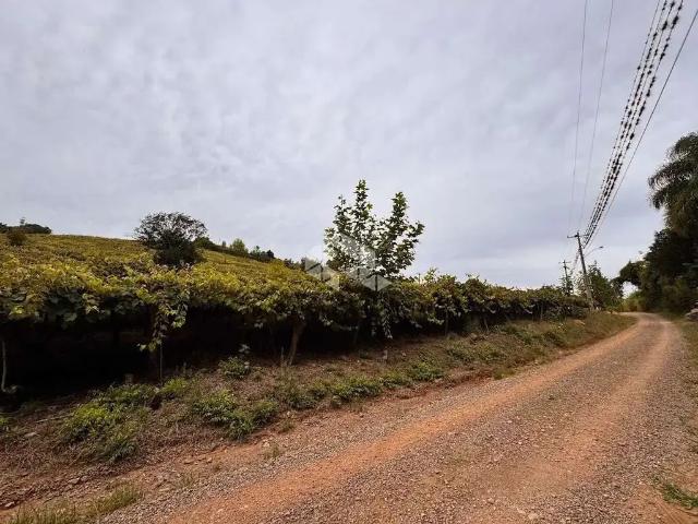 Sítio e chácara venda em Bento Gonçalves