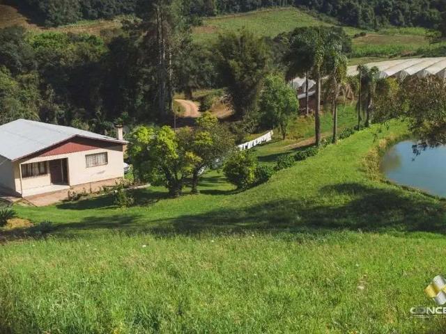 Sítio e chácara venda em Região Geográfica Imediata de Bento Gonçalves, Bento Gonçalves