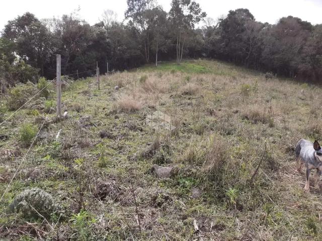Sítio e chácara venda em Bento Gonçalves