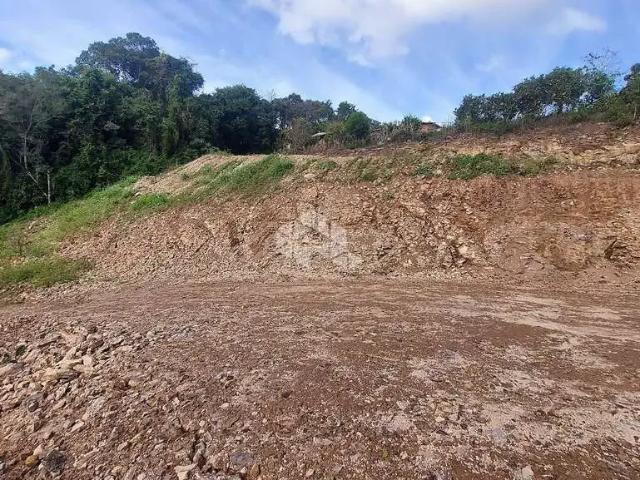 Sítio e chácara venda em Região Geográfica Imediata de Bento Gonçalves, Bento Gonçalves