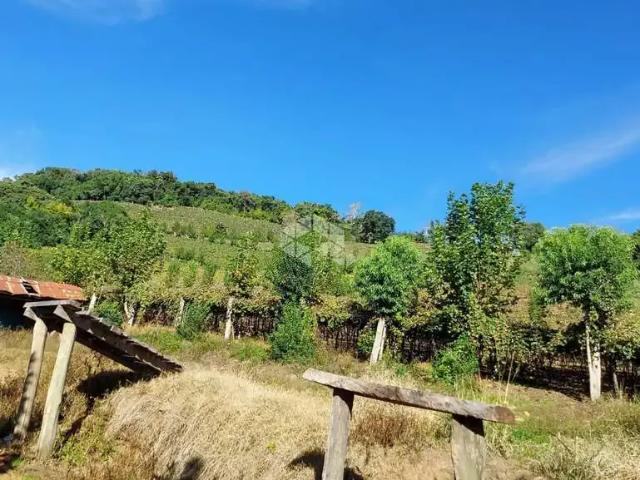 Sítio e chácara venda em Região Geográfica Imediata de Bento Gonçalves, Bento Gonçalves