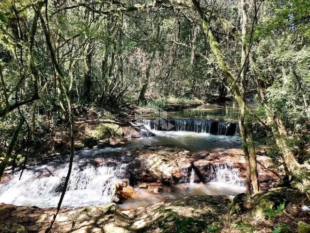 Sítio e chácara venda em Região Geográfica Imediata de Bento Gonçalves, Bento Gonçalves