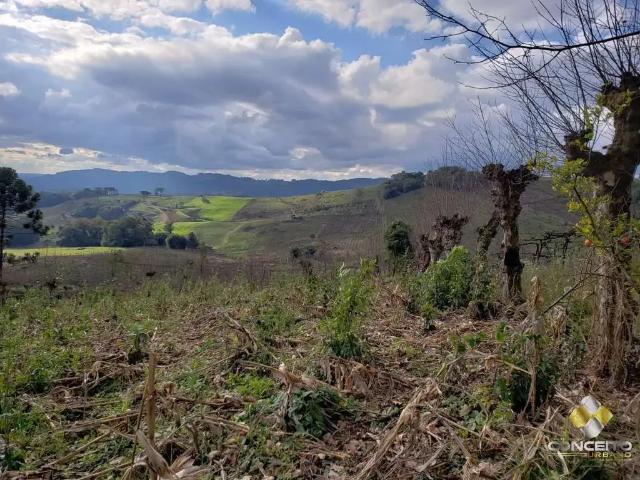 Sítio e chácara venda em Bento Gonçalves