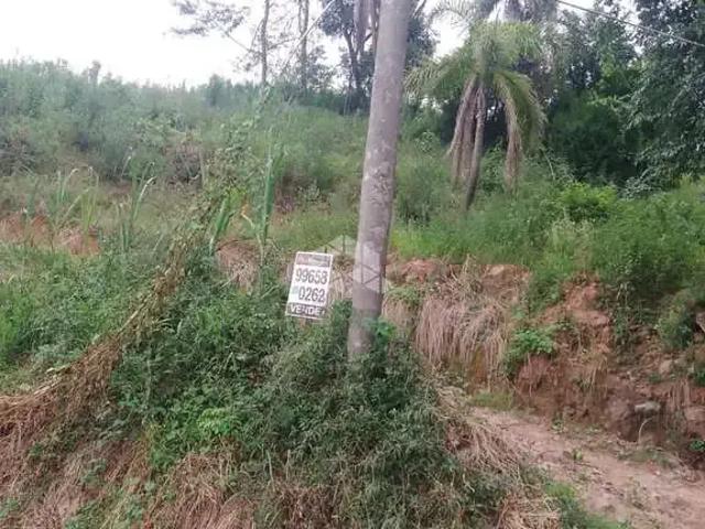 Sítio e chácara venda em Tuiuty, Bento Gonçalves