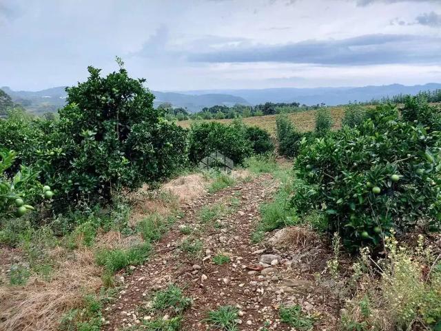 Sítio e chácara venda em Bento Gonçalves