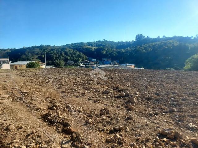 Sítio e chácara venda em Tuiuty, Bento Gonçalves