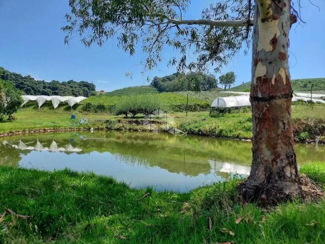 Sítio e chácara venda em Região Geográfica Imediata de São Gabriel - Caçapava do Sul, São Gabriel