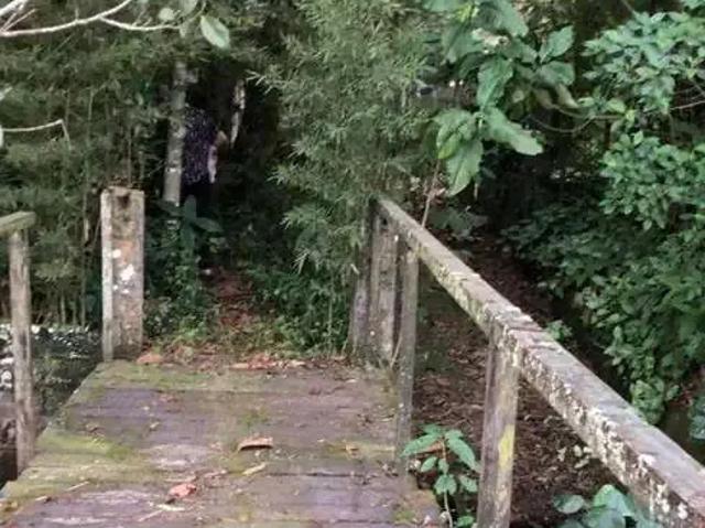 Sítio e chácara venda em Região Imediata de Santos, Região Metropolitana da Baixada Santista