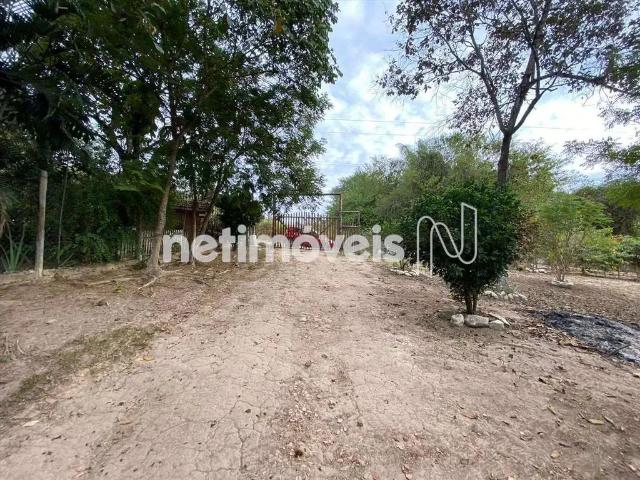 Sítio e chácara venda em Região Geográfica Imediata de Belo Horizonte, Região Metropolitana de Belo Horizonte