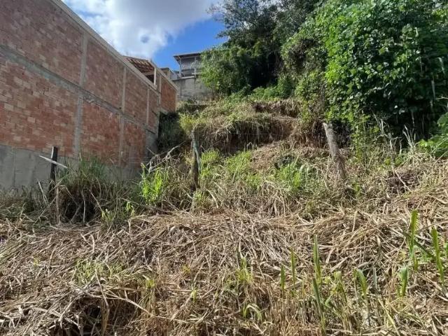 Sítio e chácara venda em Betim, Região Geográfica Intermediária de Belo Horizonte