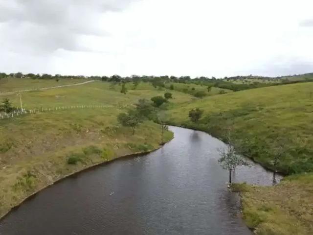 Sítio e chácara venda em Região Geográfica Imediata de Caruaru, Bezerros