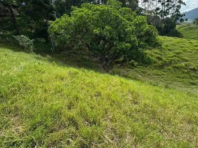 Sítio e chácara venda em Região Geográfica Imediata de Florianópolis, Biguaçu